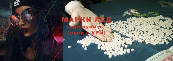 хмурый Гусь-Хрустальный