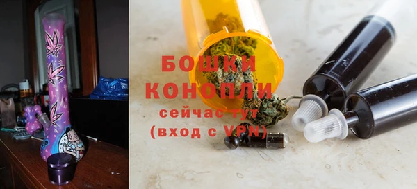 хмурый Гусь-Хрустальный