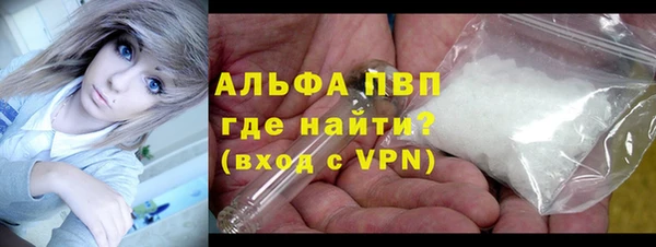 хмурый Гусь-Хрустальный