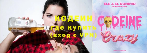 хмурый Гусь-Хрустальный