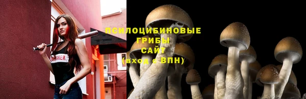 хмурый Гусь-Хрустальный