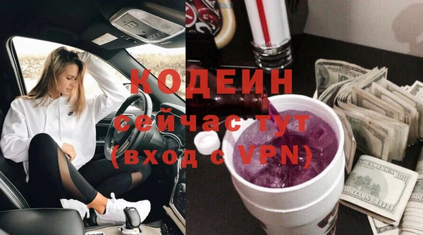 хмурый Гусь-Хрустальный