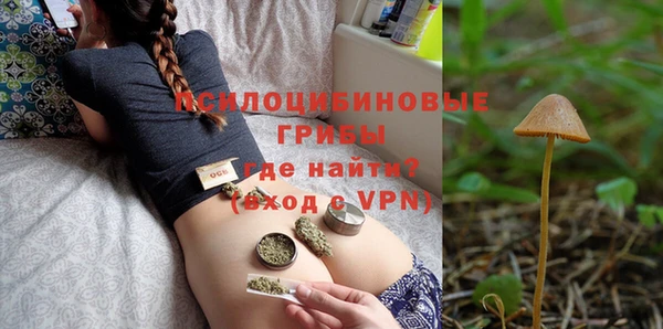 хмурый Гусь-Хрустальный