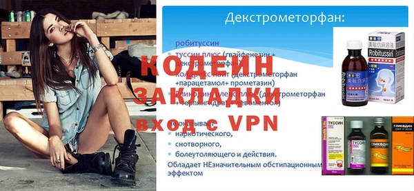 хмурый Гусь-Хрустальный