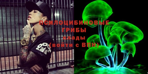 ПСИЛОЦИБИНОВЫЕ ГРИБЫ Гусиноозёрск